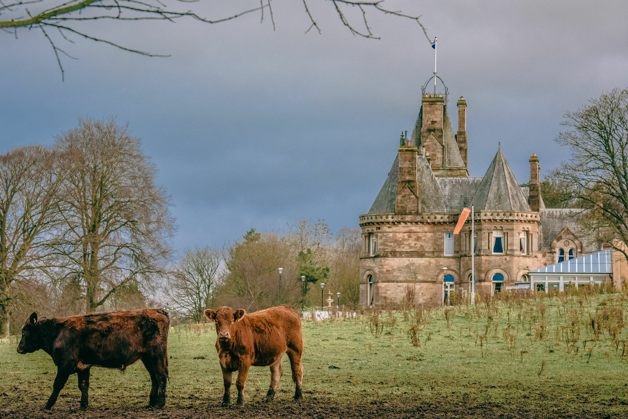 Cornhill Castle Hotel Biggar Eksteriør bilde